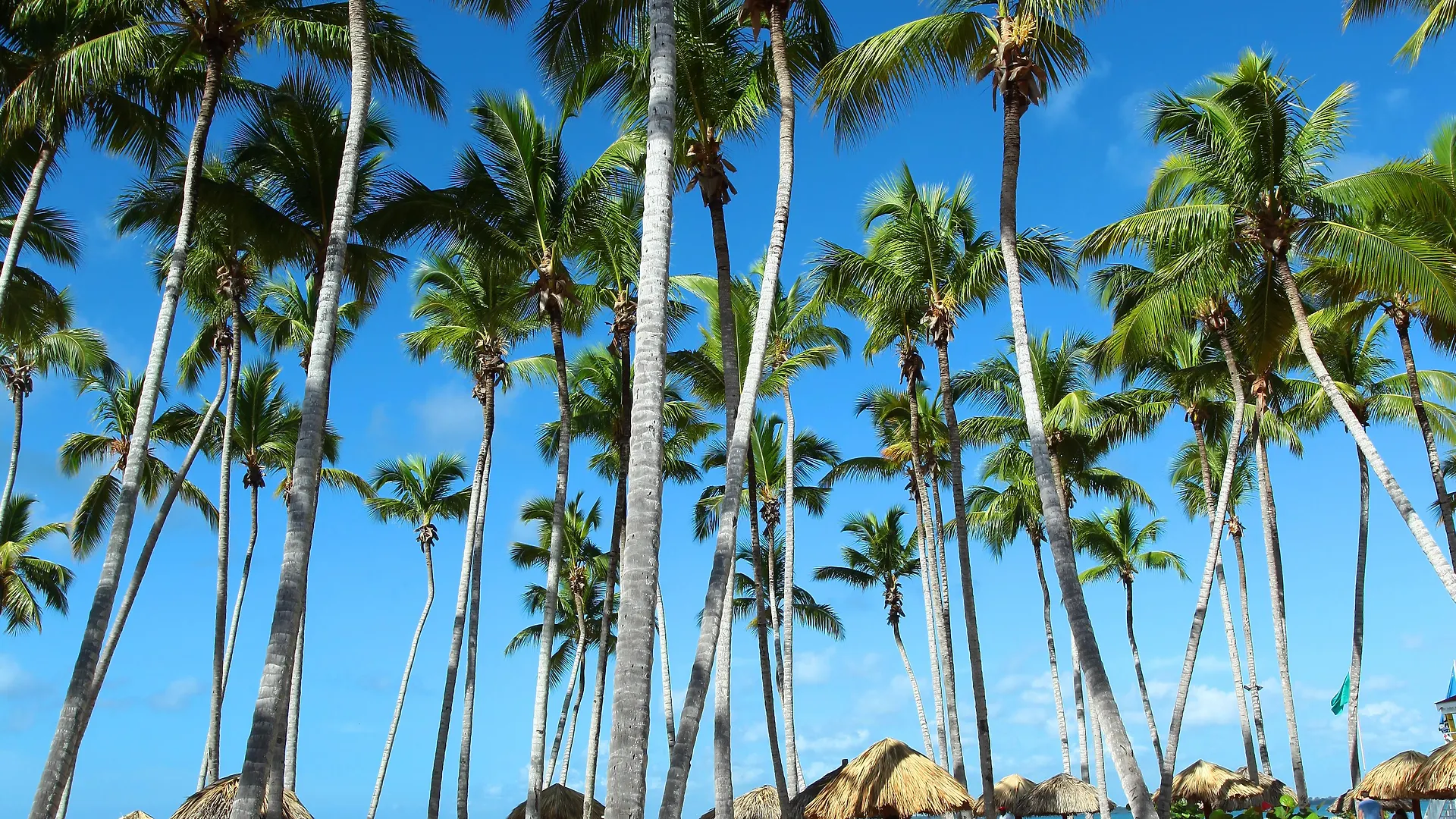 Bahia Principe Grand La Romana (Adults Only) Hotel